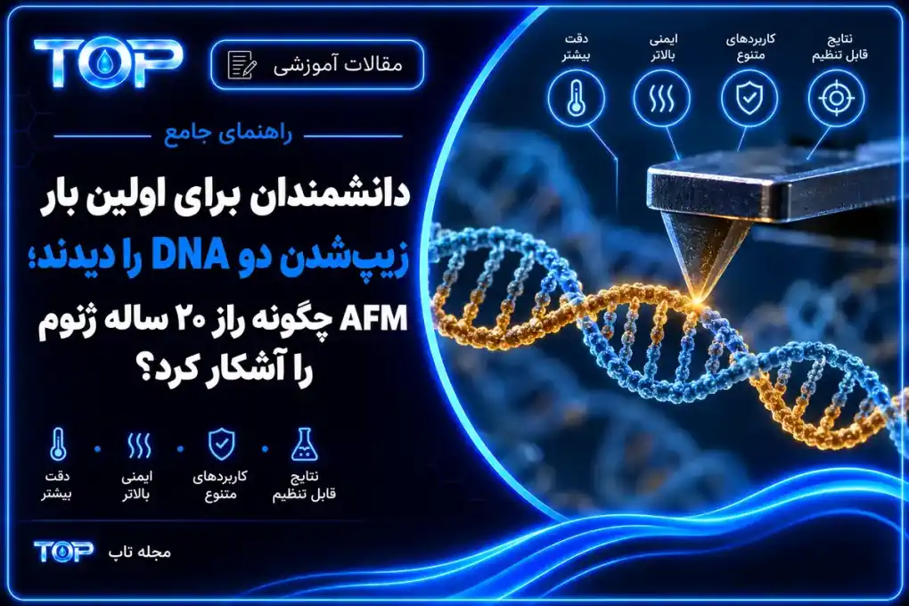 تصویر شاخص مقاله مشاهده زیپ‌شدن دو DNA با میکروسکوپ نیروی اتمی AFM